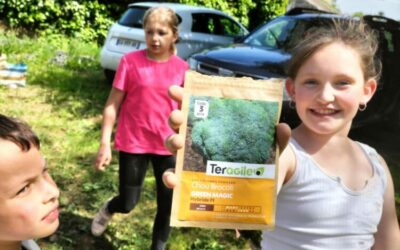 Un potager à l’école : les petites mains dans la terre !