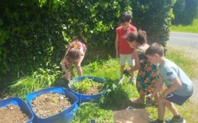 Un après-midi jardinage sous le soleil